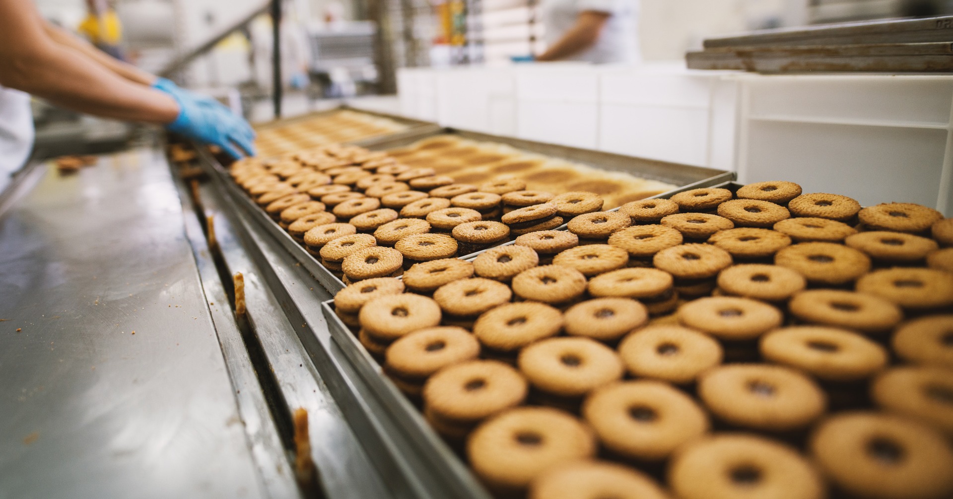 automation in food manufacturing