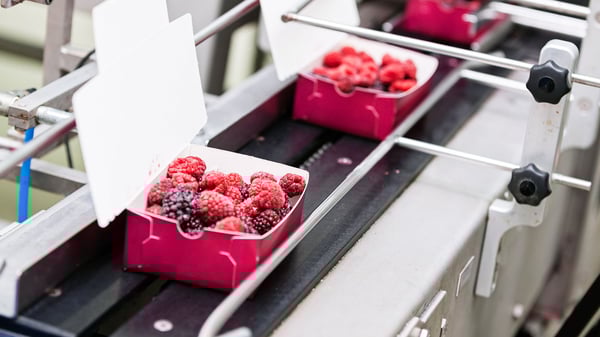 Value creation for the food sector: The key to business success