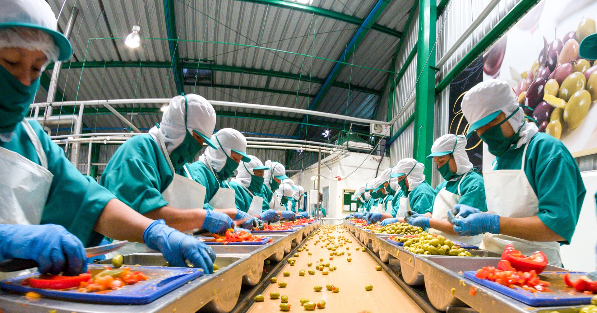 plant based products