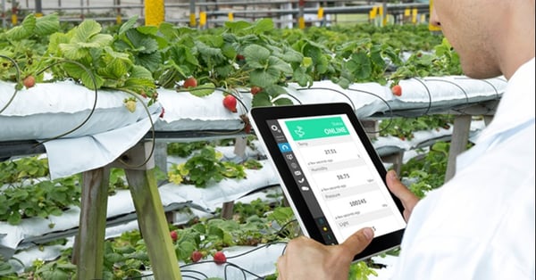 Food product development: The benefits of an industry-specific ERP