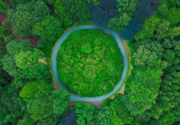 Dynamics 365 “Patch Sunday” og Evergreen ERP: Hvad betyder det for dig?