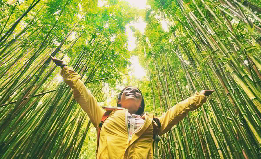 Åben mod omverdenen