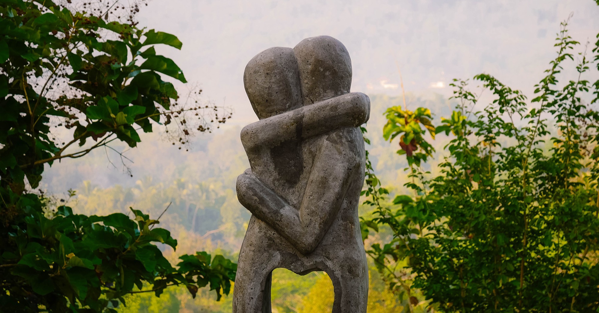 plant based products