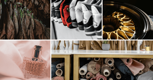 Maria accelererade till affärskonsult