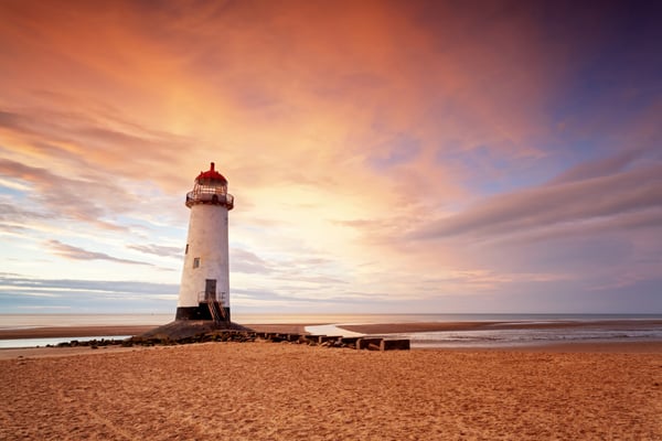 Digital Advisor Navigates the Intersection of Business, Processes and Technology