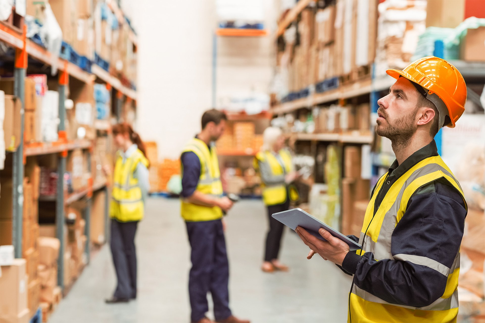 Food product development 