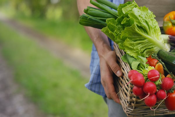 Investera i ett affärssystem och öka livsmedelssäkerheten