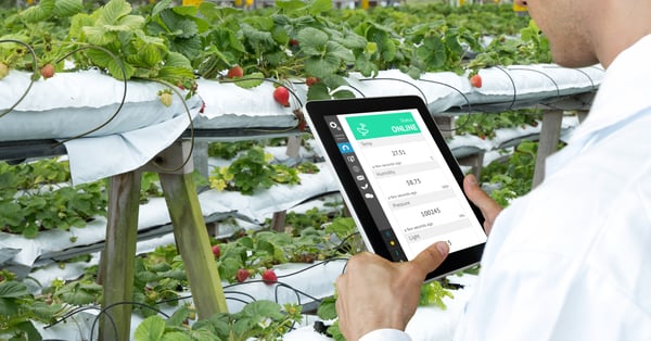 3 steps to improving customer experience in food manufacturing