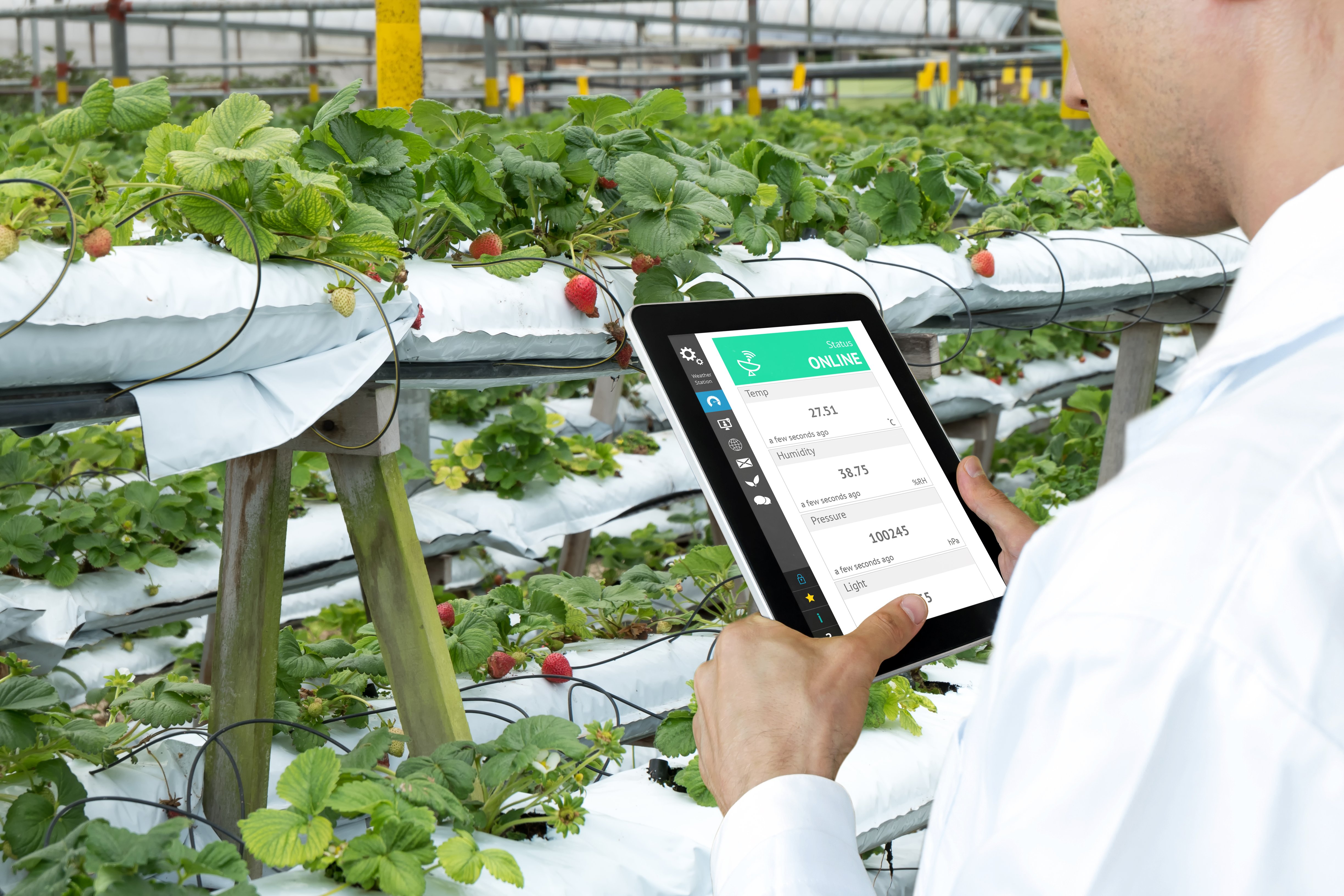 food-vegetables-technology