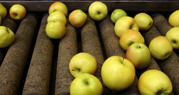 How to turn your food manufacturing waste into an advantage