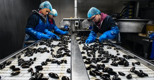 Choosing the right traceability software in food manufacturing