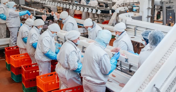 The importance of an evergreen IT strategy in meat manufacturing