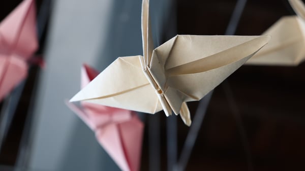 Lift your Infor platform’s usability to new heights. Tips and tricks revealed